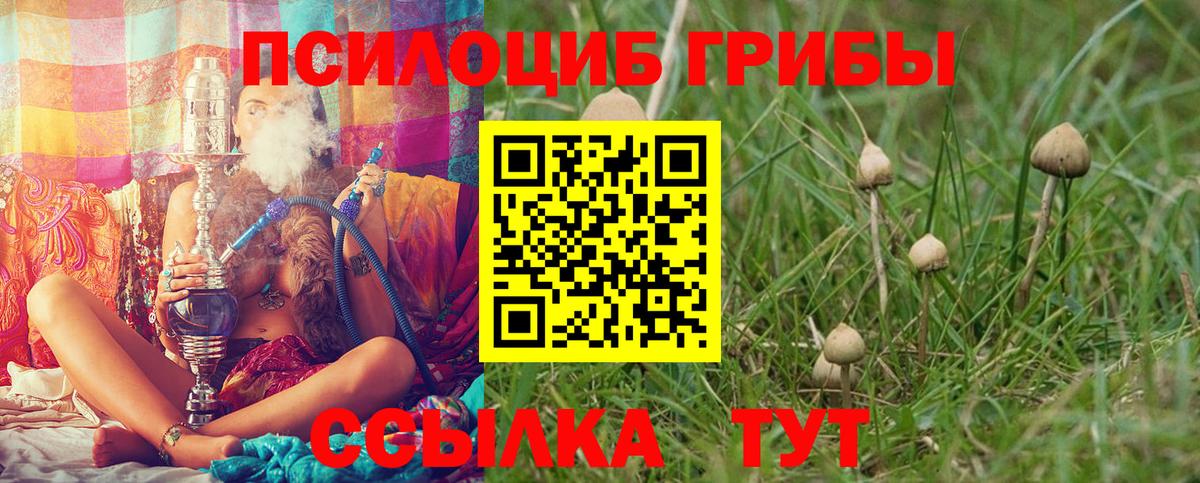 Отрадное  Псилоцибиновые грибы ЛСД  Вход с VPN  Галлюциногенные грибы MAGIC MUSHROOMS 